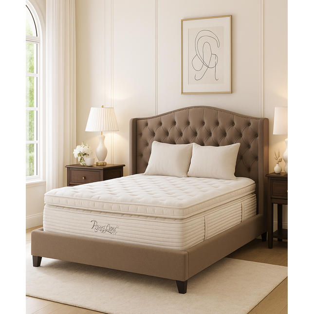 SPLENDID LUXE